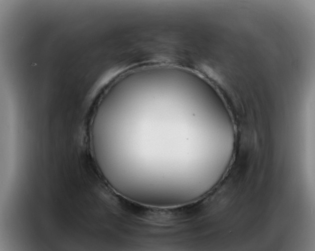 X0000086791215200704201837