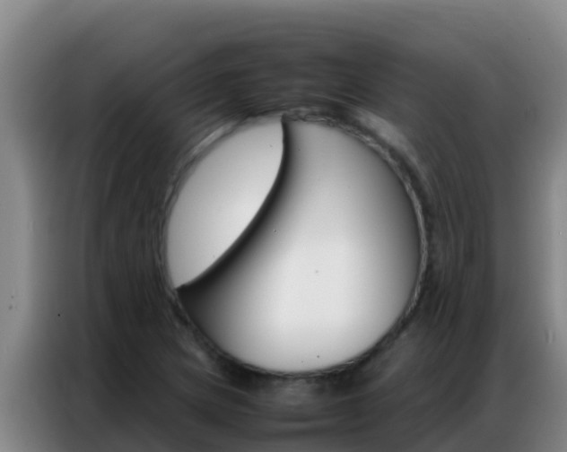 X0000086791217200704201837