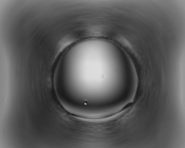 X0000086791218200704201837
