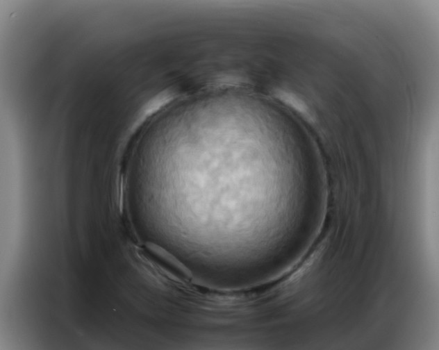 X0000086791219200704201837
