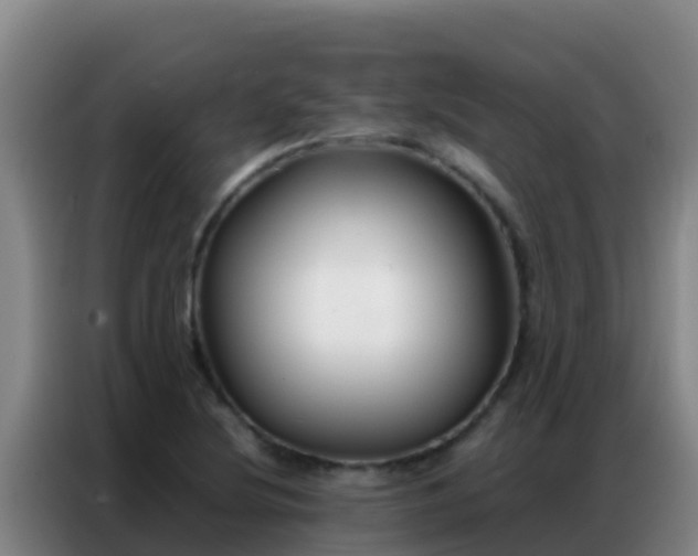 X0000086791220200704201837