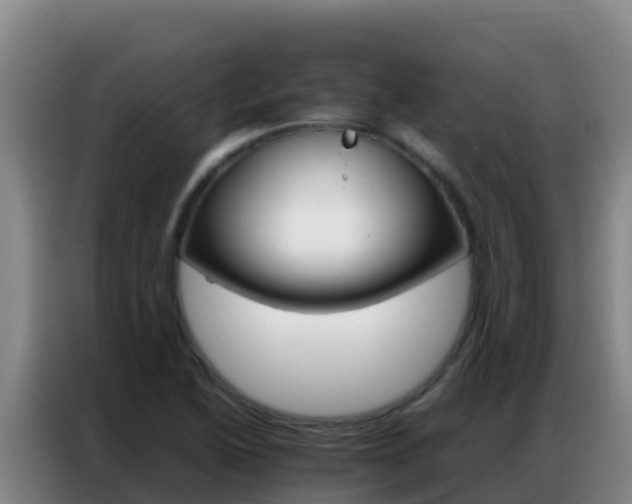 X0000086791222200704201837