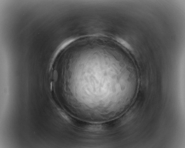 X0000086791223200704201837