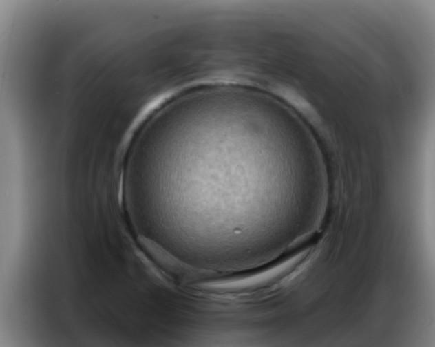 X0000086791224200704201837
