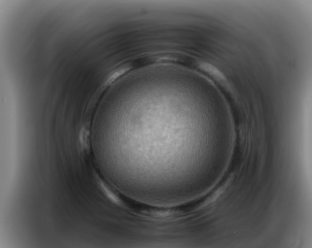 X0000086791225200704201837