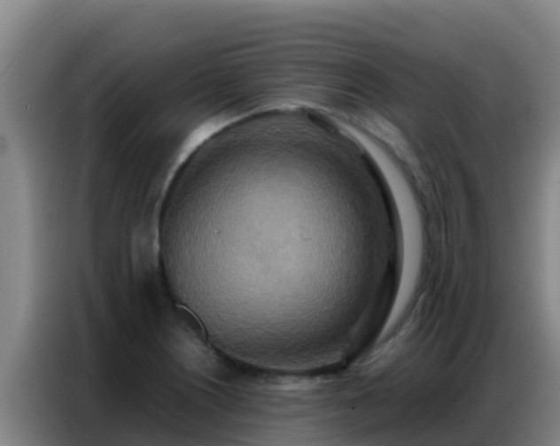 X0000086791226200704201837