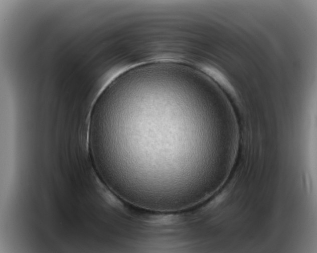 X0000086791228200704201837