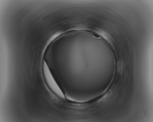 X0000086791229200704201837