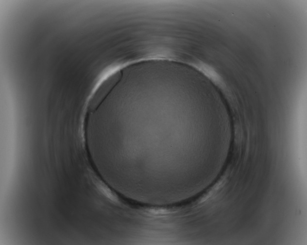X0000086791230200704201837