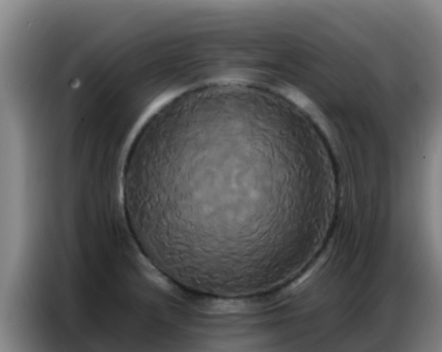 X0000086791232200704201837