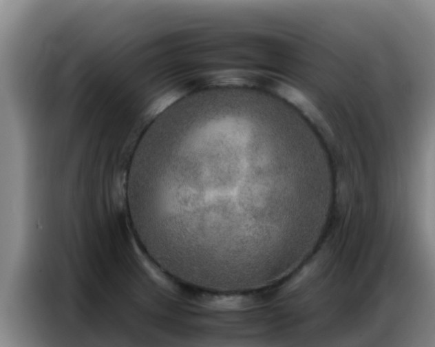 X0000086791233200704201837
