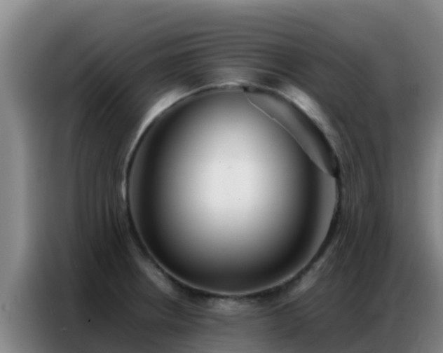 X0000086791234200704201837
