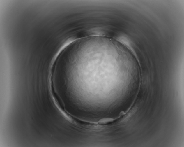 X0000086791235200704201837