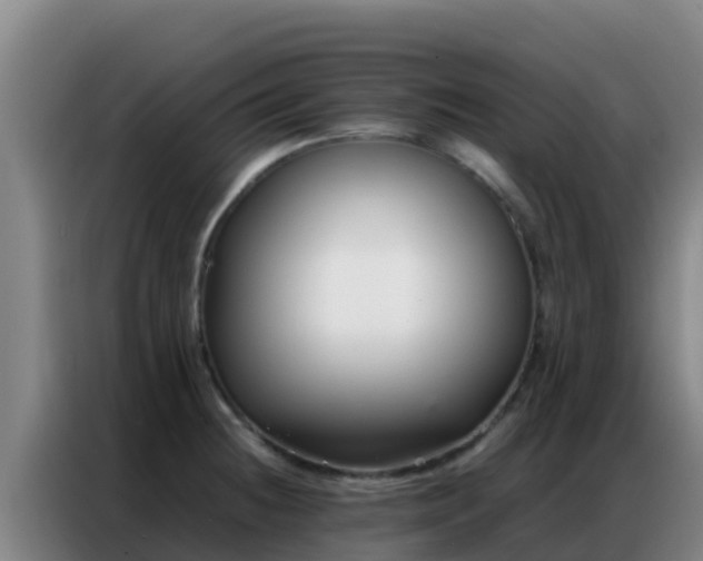 X0000086791236200704201837