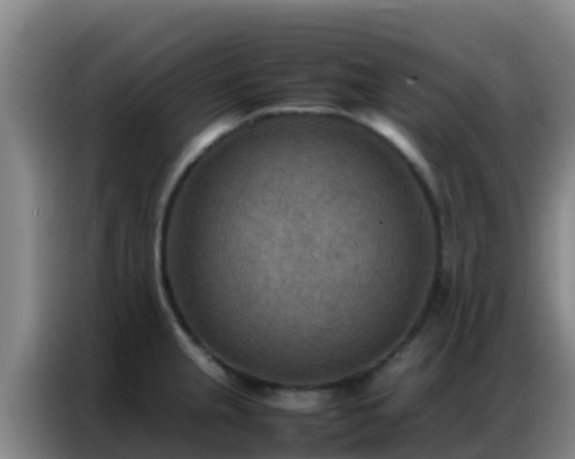 X0000086791237200704201837