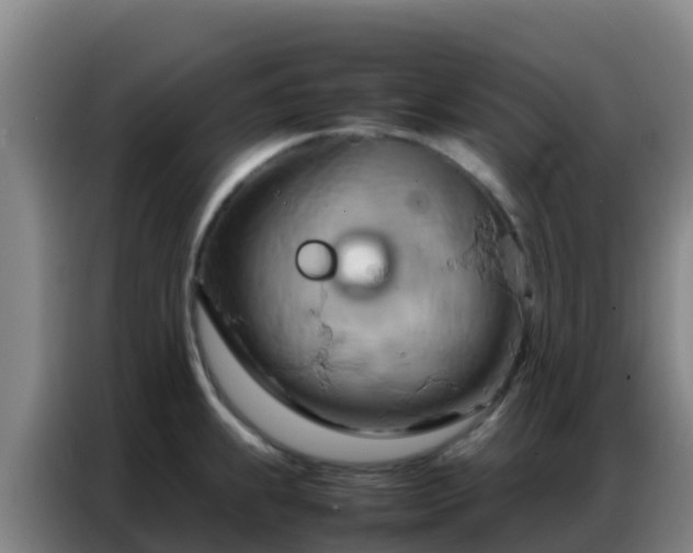 X0000086791239200704201837