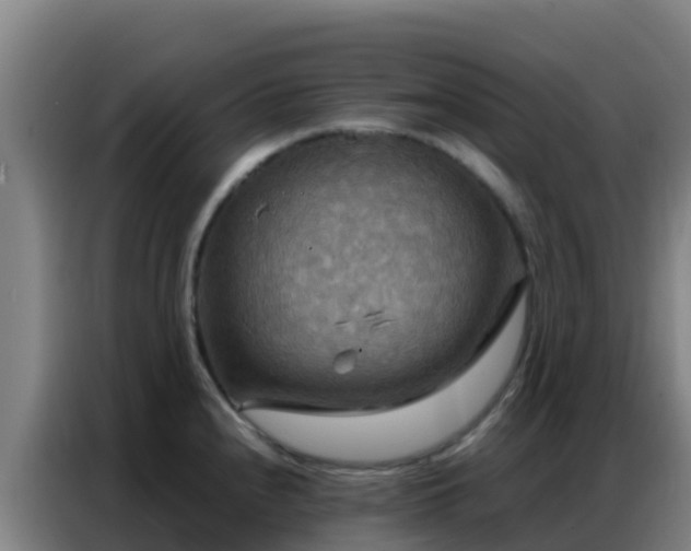 X0000086791240200704201837