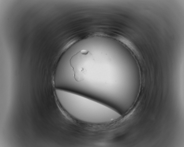 X0000086791241200704201837