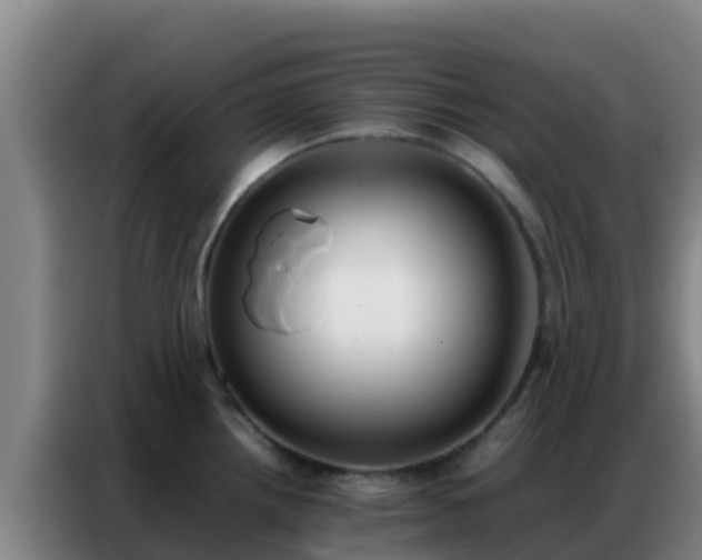 X0000086791242200704201837