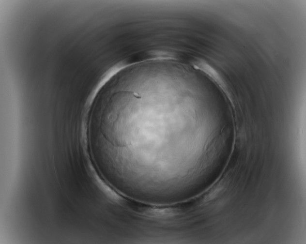 X0000086791243200704201837