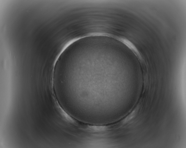 X0000086791244200704201837