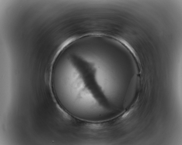 X0000086791245200704201837