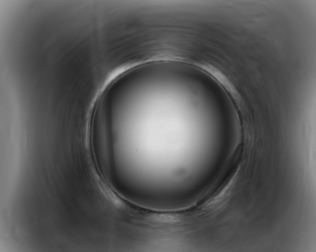 X0000086791246200704201837