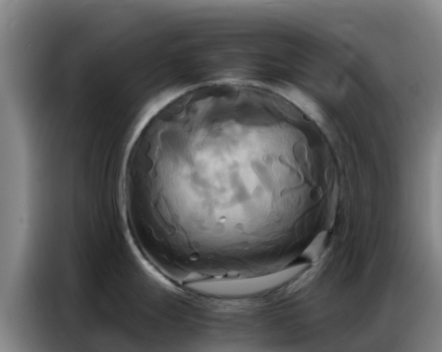 X0000086791247200704201837