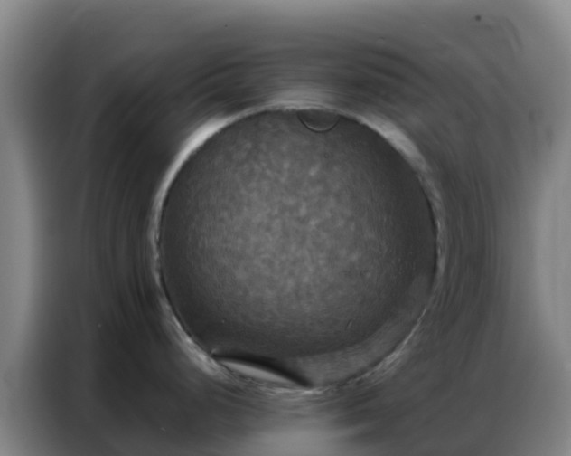 X0000086791248200704201837