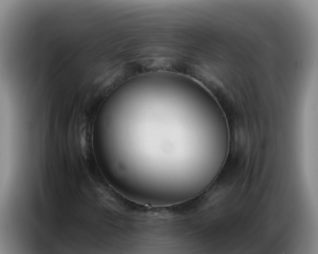 X0000086791250200704201837