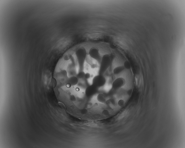 X0000086791251200704201837