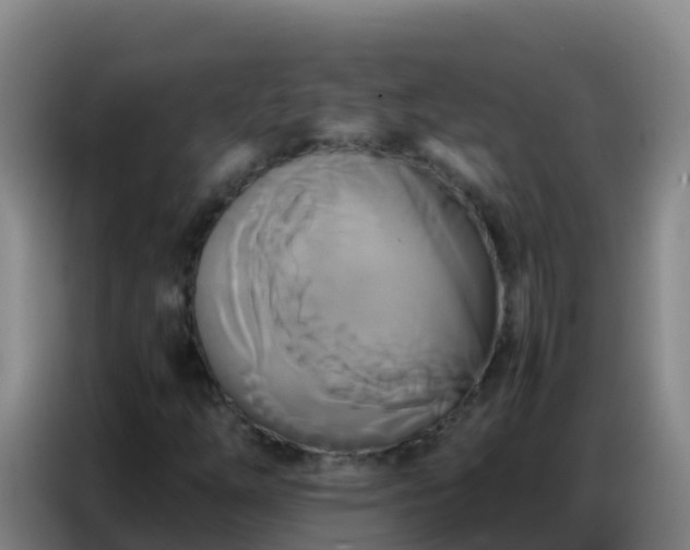 X0000086791254200704201837