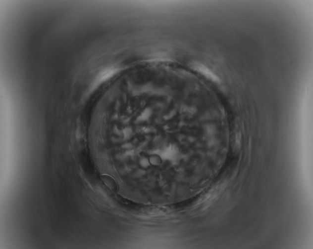 X0000086791255200704201837