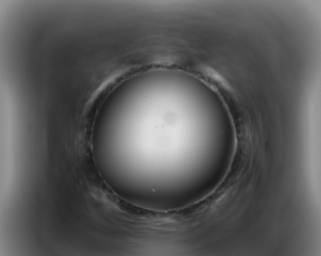 X0000086791256200704201837
