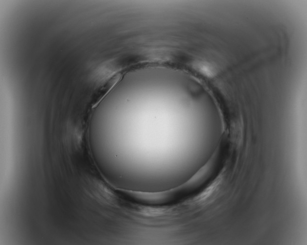 X0000086791257200704201837