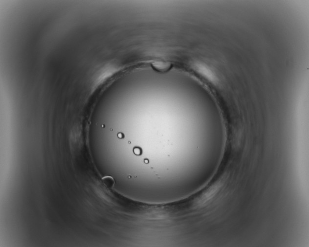 X0000086791259200704201837