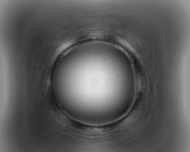 X0000086791261200704201837
