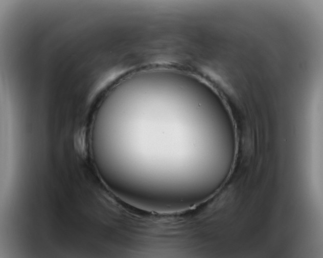 X0000086791262200704201837