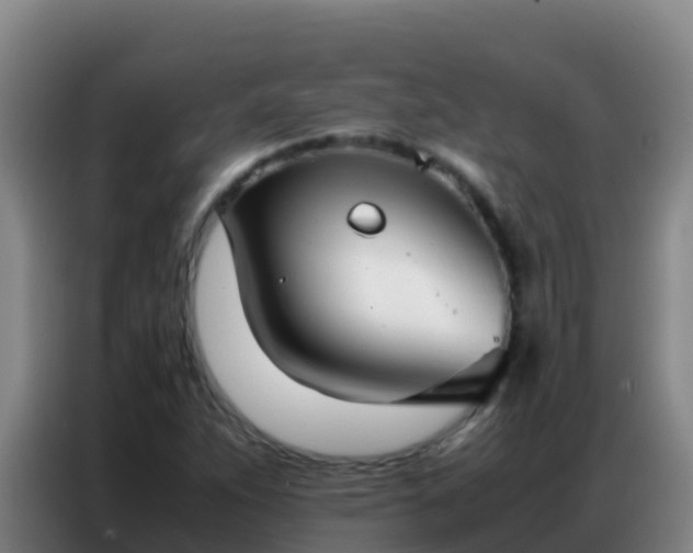 X0000086791263200704201837