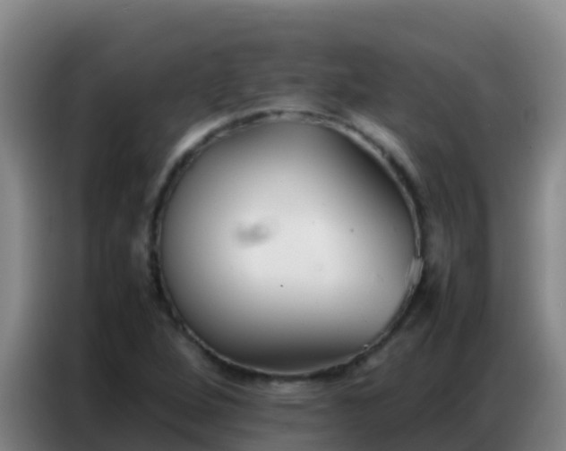 X0000086791264200704201837