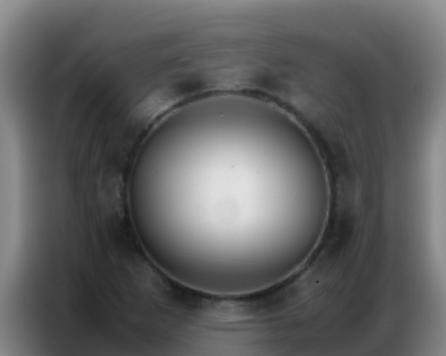 X0000086791265200704201837