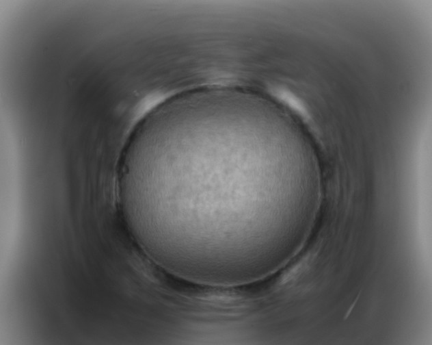 X0000086791267200704201837