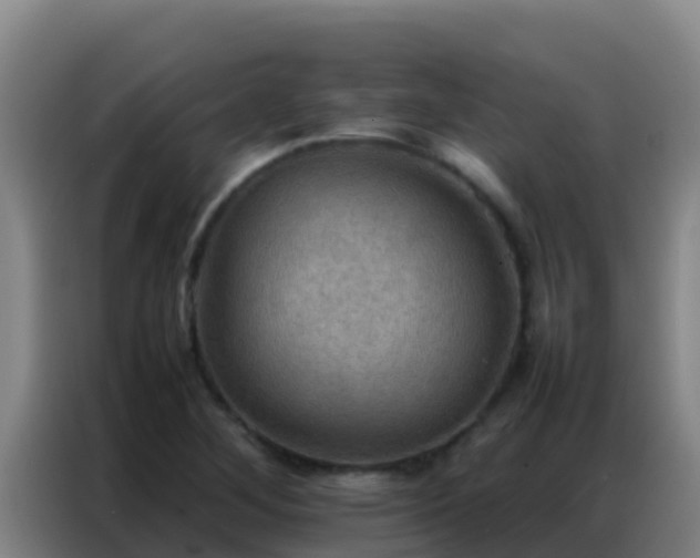 X0000086791268200704201836