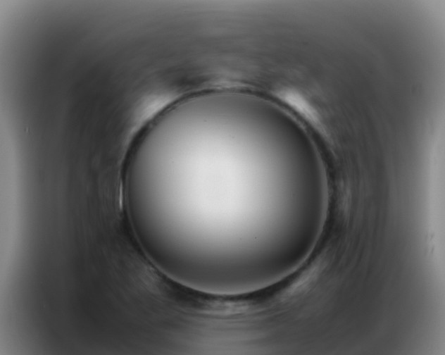 X0000086791269200704201836