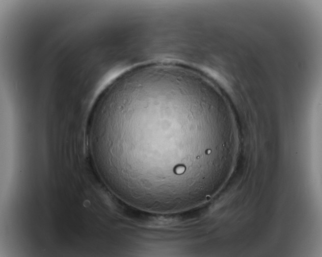 X0000086791271200704201836