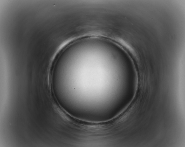 X0000086791272200704201836