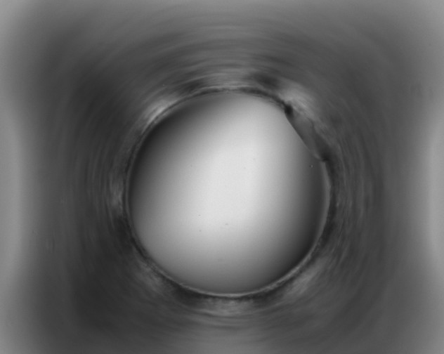 X0000086791273200704201836