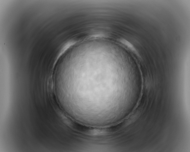 X0000086791274200704201836