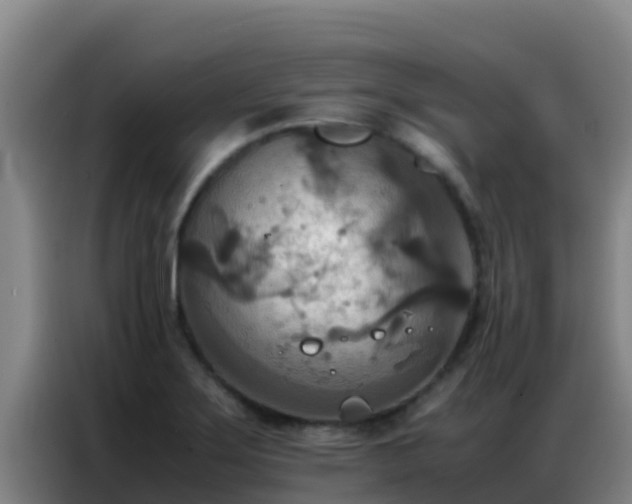 X0000086791275200704201836