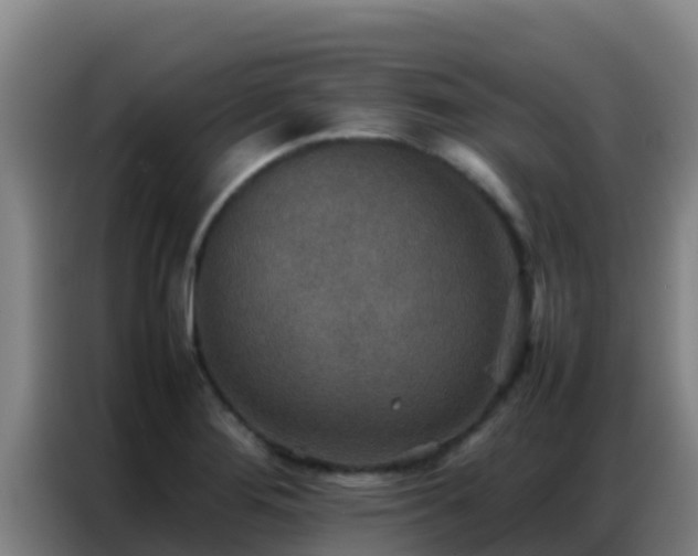 X0000086791276200704201836